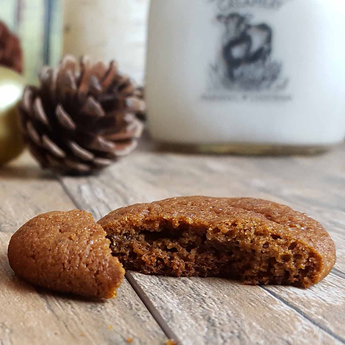 A gingersnap broken in half to show the extra crisp, hard interior and texture all the way through.