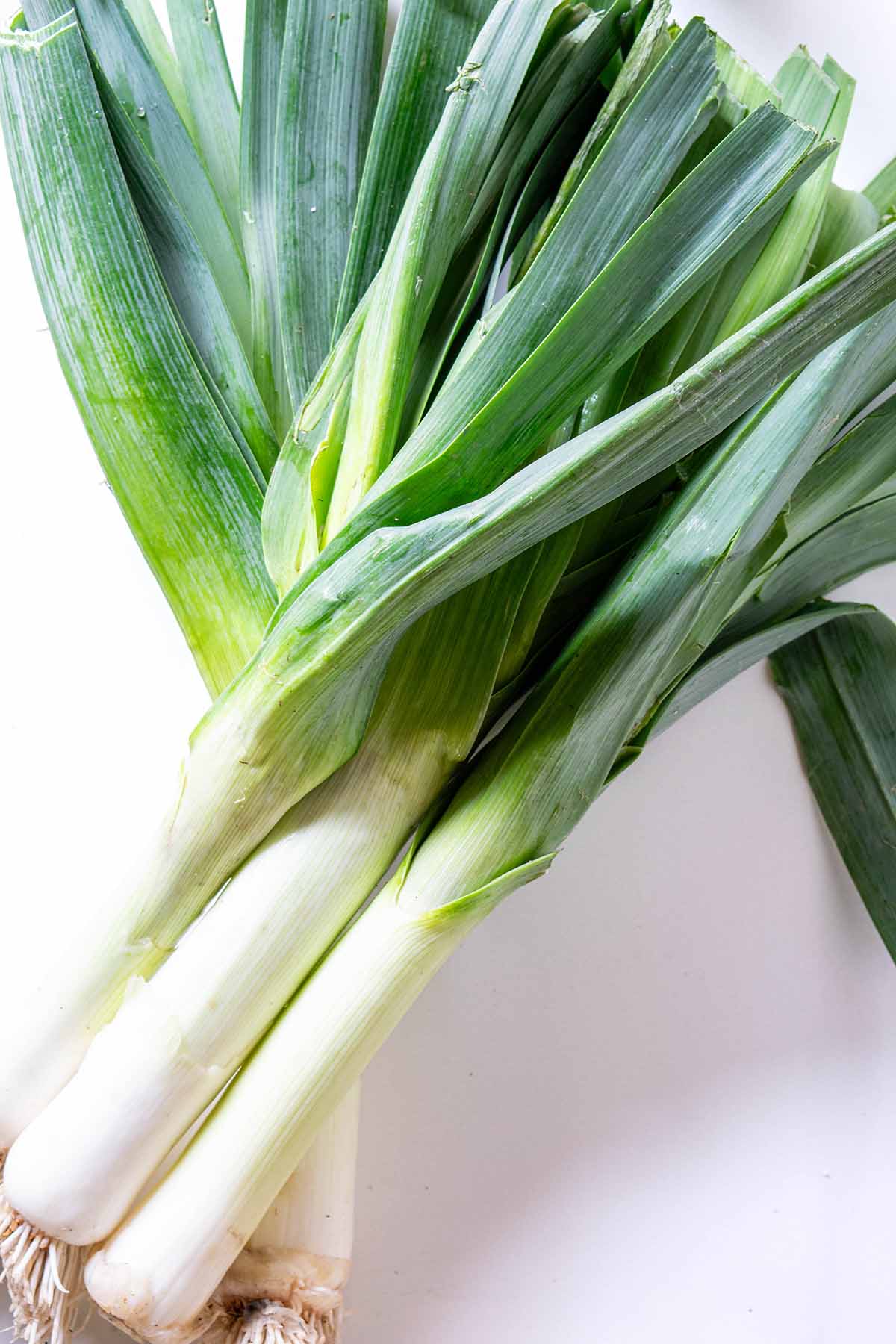 Fresh leeks before they are washed and trimmed.