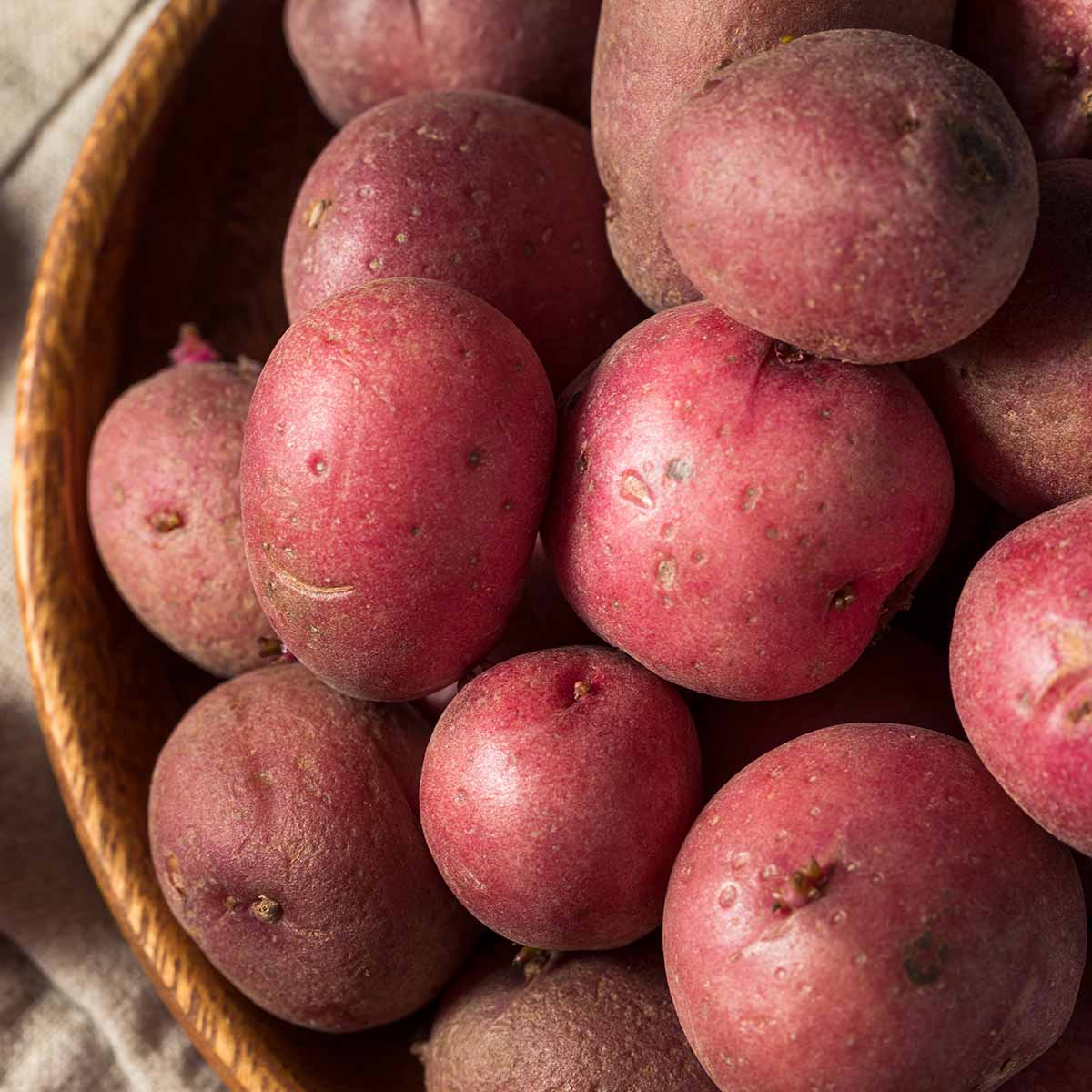 Red potatoes with the skin left on, to add a chunky texture to the potato leek soup.