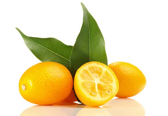 Kumquats are in season in the middle of winter to early spring.