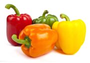 Bell peppers are in season in summer and last through fall
