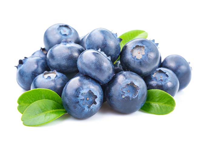 Blueberries are in season in late spring through summer