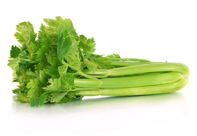 Celery in season