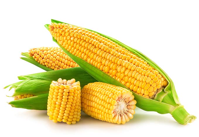 When is corn in season