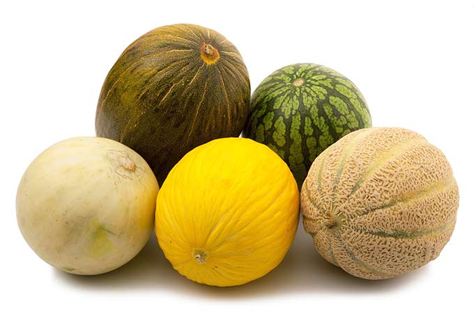 Watermelons, cantaloupe, and honeydew melons