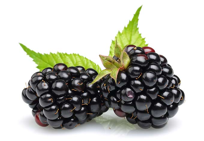 blackberries images