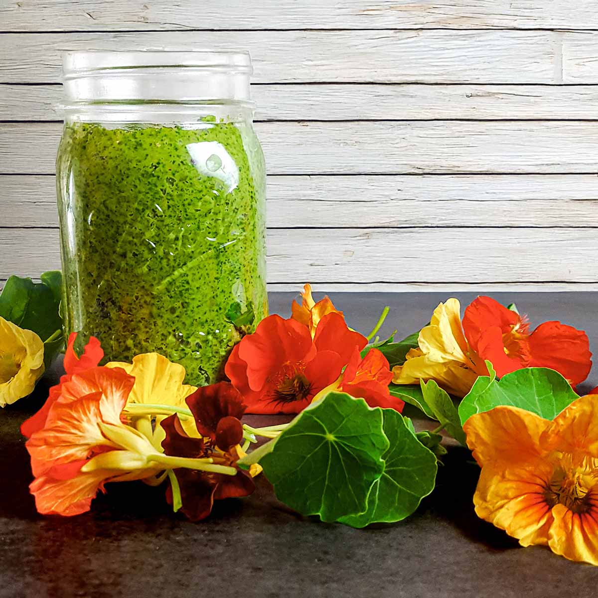 Nasturtium pesto in a jar along with fresh nasturtium leaves and flowers on a table