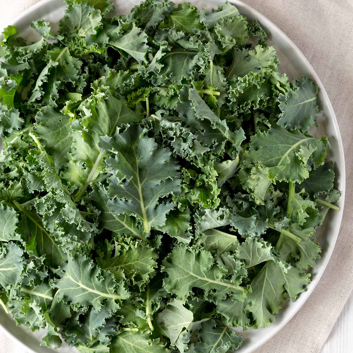 Fresh kale, harvested in winter, torn into pieces for the salad