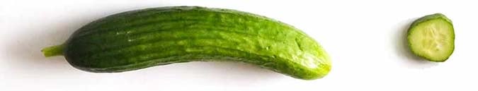 A whole Persian cucumber next to a slice to show shape and texture. It's smaller than slicing and English cucumbers.