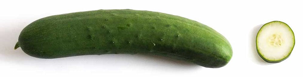 A whole slicing cucumber next to a slice to show shape and texture.
