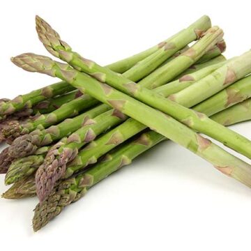 asparagus in season