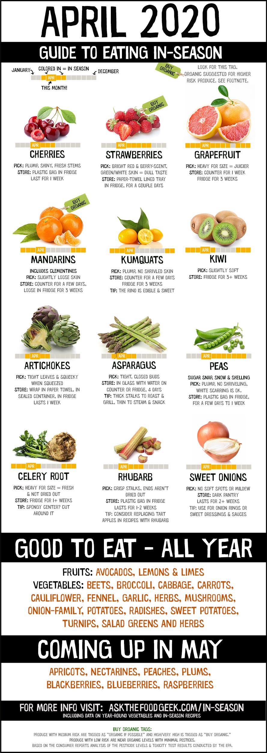 Infographic Seasonal Food