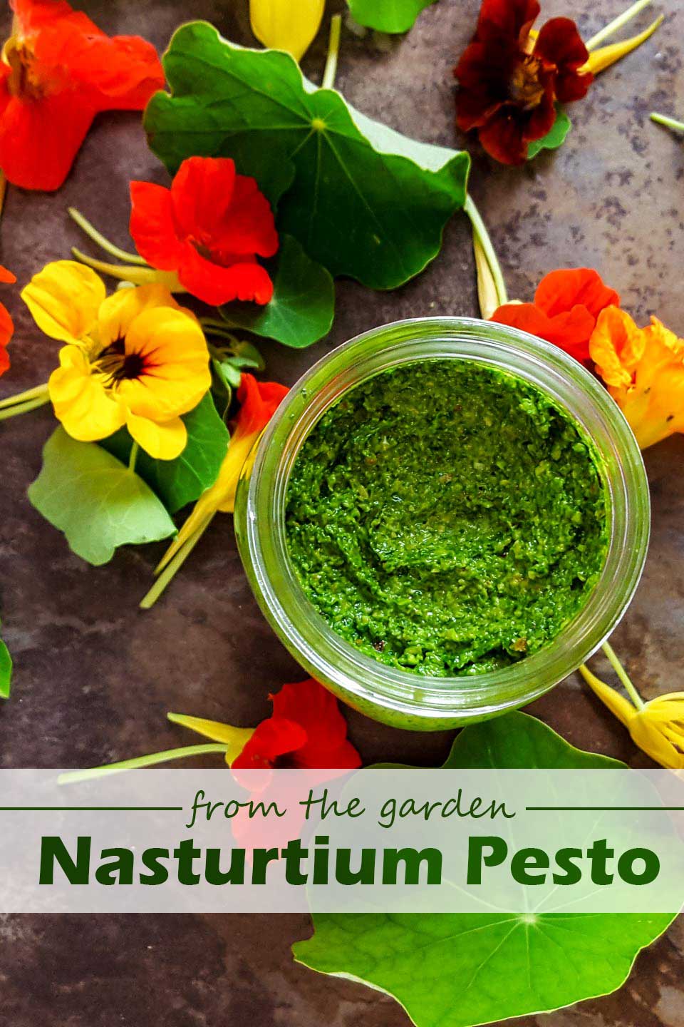 nasturtium pesto and flowers