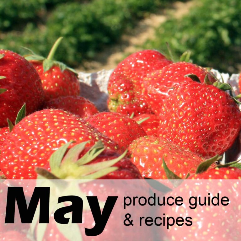 How much do canning jars cost & where to buy them Ask the Food Geek