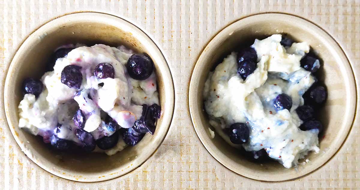 Comparison of blueberries that turn red or green