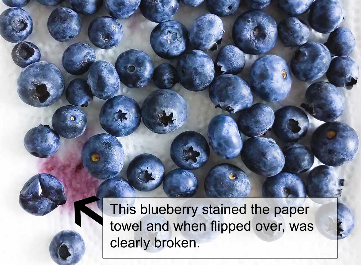 Blueberries on a paper towel, stains show deterioration