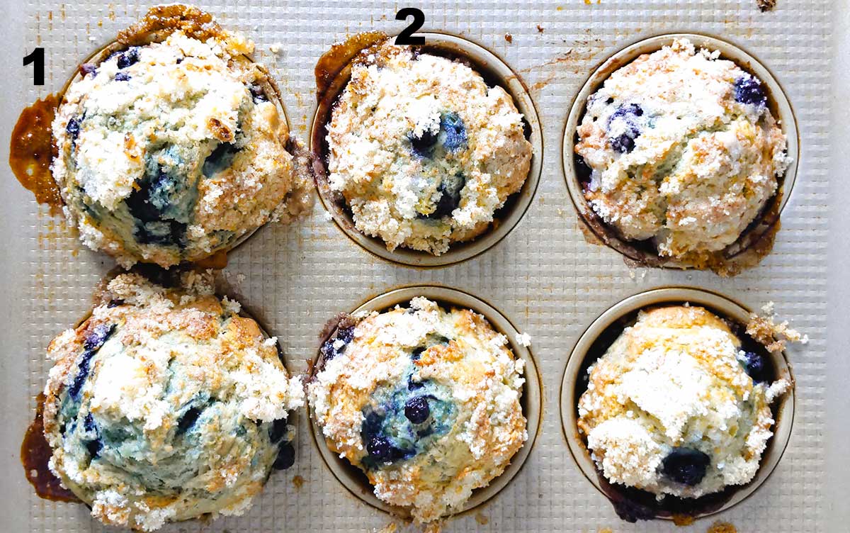 Muffins in the pan with sugar that caramelized around the edges