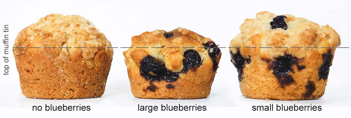 3 blueberry muffins from left to right: no blueberries rose high, large blueberries didn