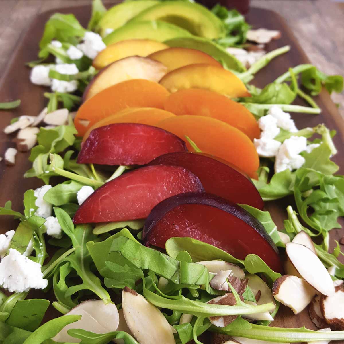 A salad with peaches, plums, nectarines, and avocado