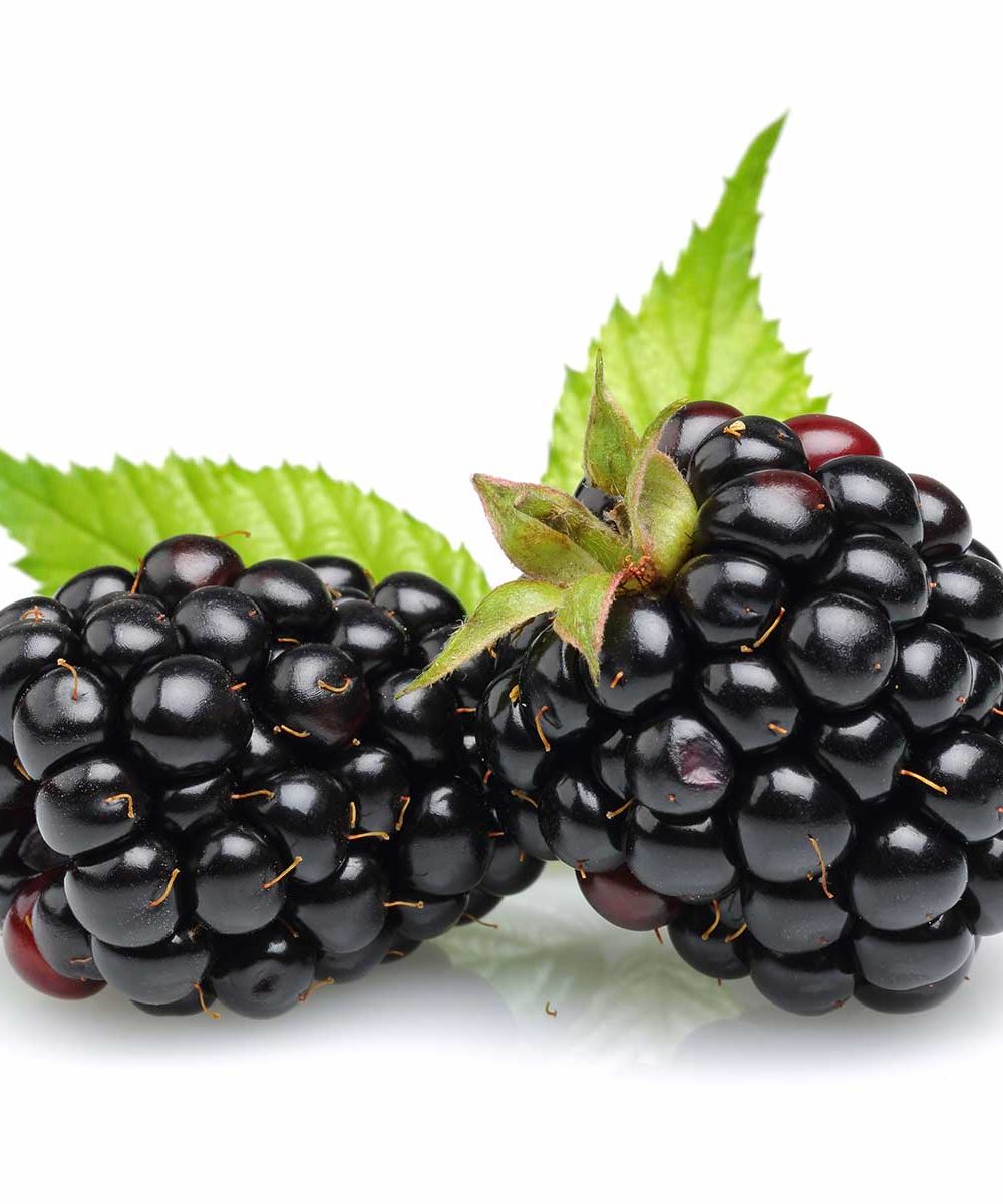 2 blackberries, close up