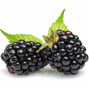 2 blackberries, close up