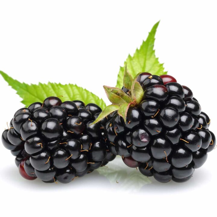Why blackberries are bitter & how to fix it Ask the Food Geek