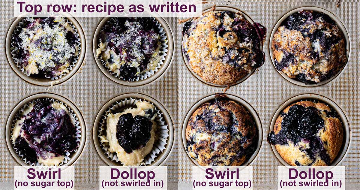 Testing the swirled topping with some mixing in the blueberry puree and another that's just dolloped on top (which doesn't spread at all).