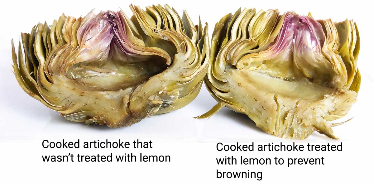 Two artichokes - one treated with lemon, and the other without. Their colors after being cooked are only slightly different.