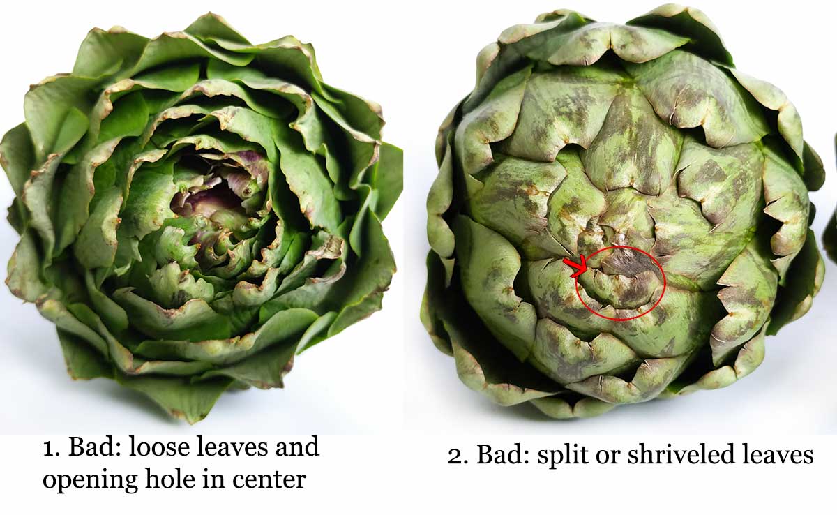 Artichokes: Everything you need to know - Ask the Food Geek