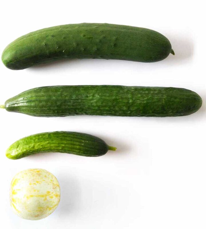 Why cucumbers are bitter & how to fix it Ask the Food Geek