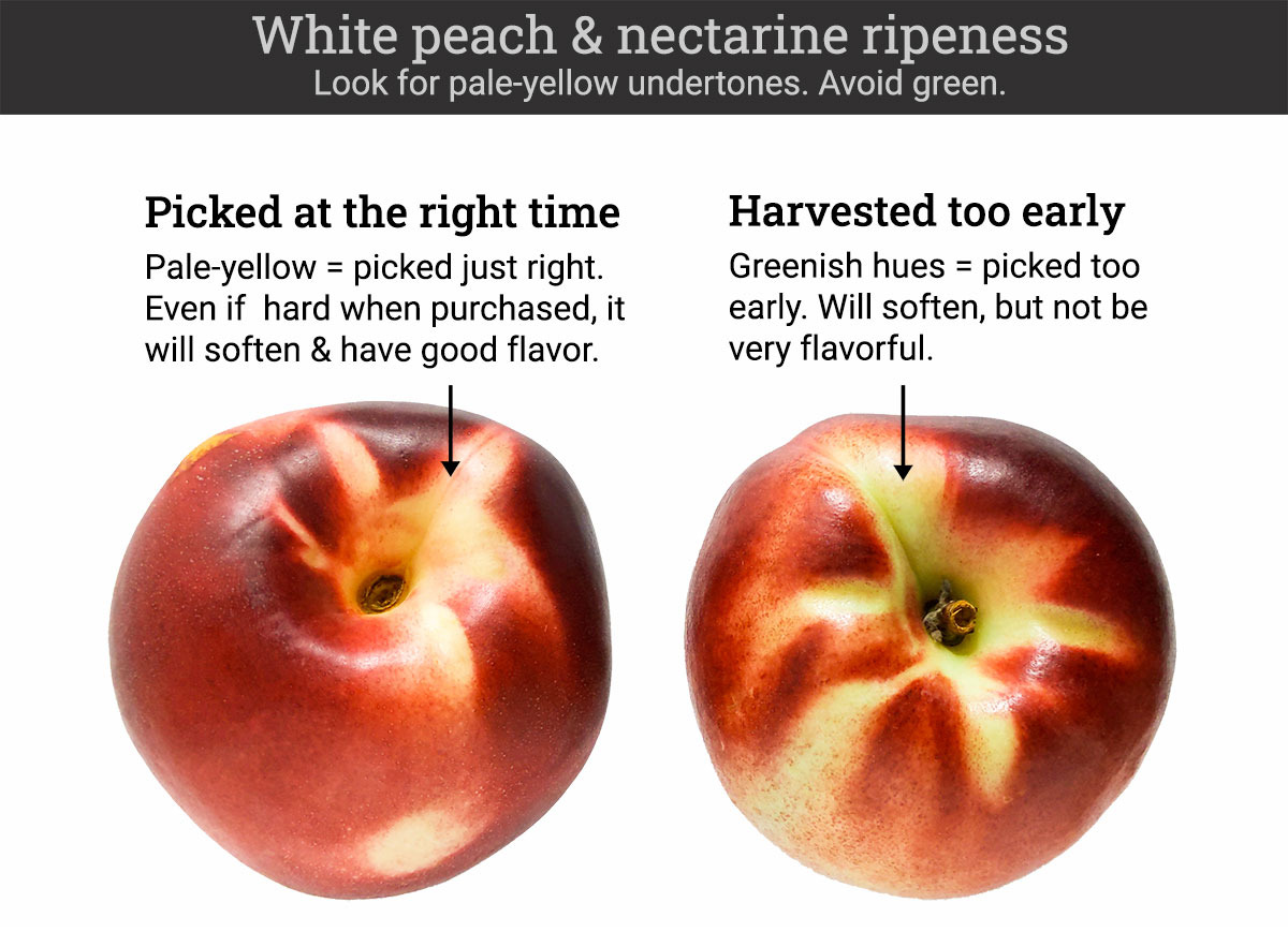 Ripe white nectarines and peaches will have pale yellow undertones. Unripe ones will be greenish.