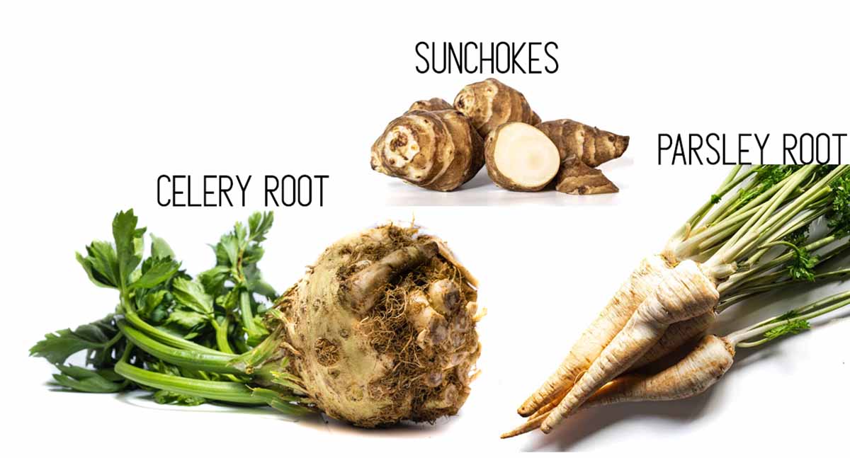 Root vegetables for winter minestrone, including celery root, sunchokes, and parsley root.