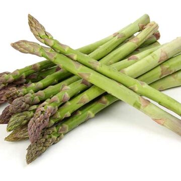 asparagus in season