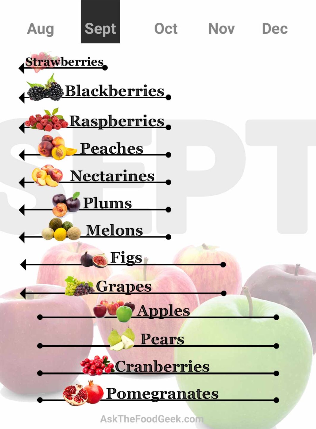 Chart of fruit in season for Septembert: strawberries, blackberries, raspberries, peaches, nectarines, plums, melons, figs, grapes, apples, pears, cranberries and pomegranates.