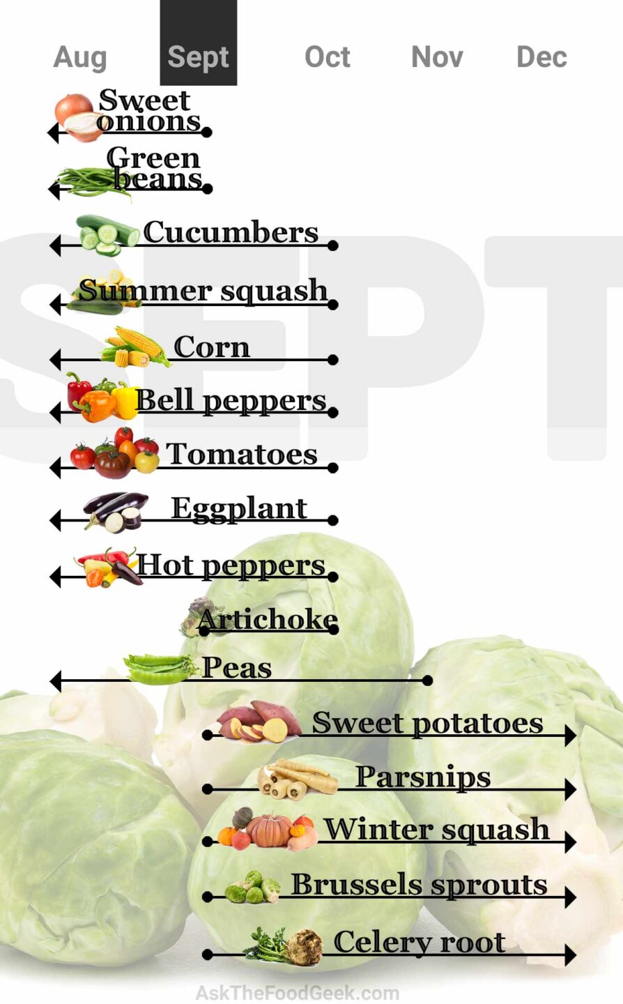 September vegetables in-season chart: Onions, green beans, cucumbers, summer squash, corn, bell peppers, tomatoes, eggplant, hot peppers, artichokes, peas, sweet potatoes, parsnips, winter squash, brussels sprouts, and celery root.