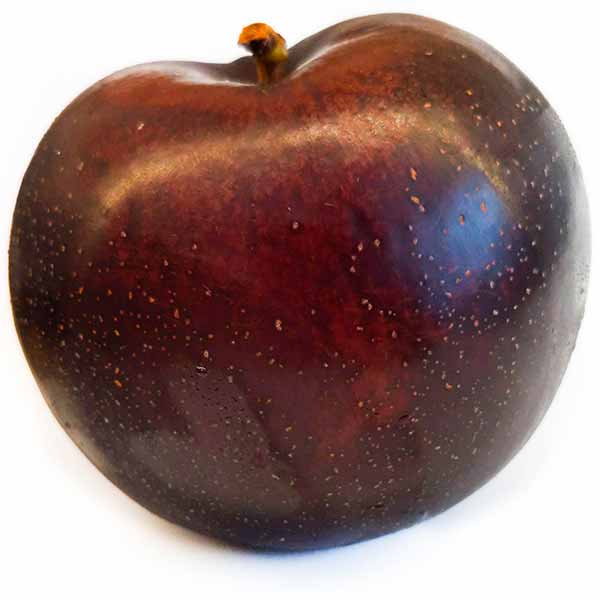 Black plum variety