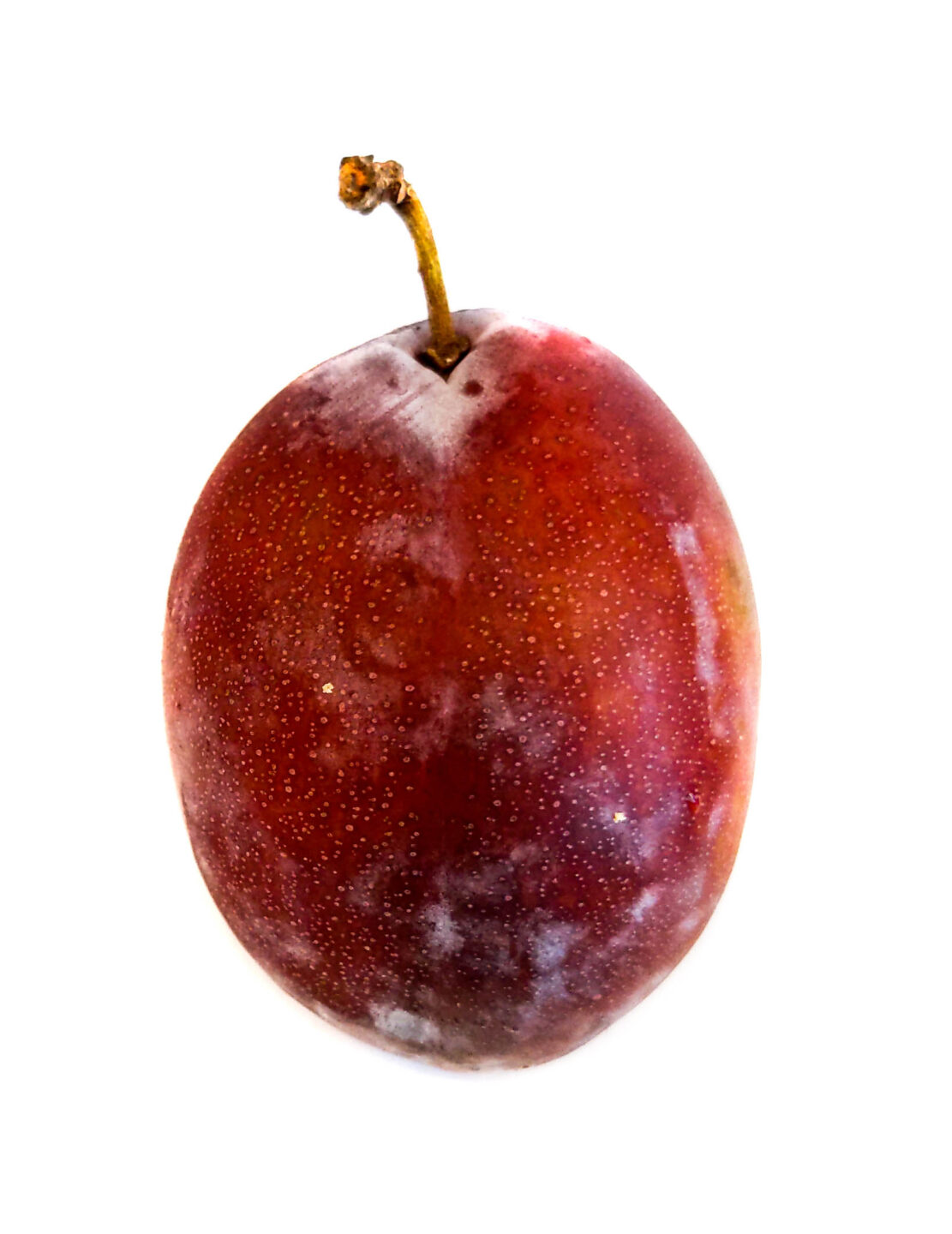 Plums: everything you need to know - Ask the Food Geek