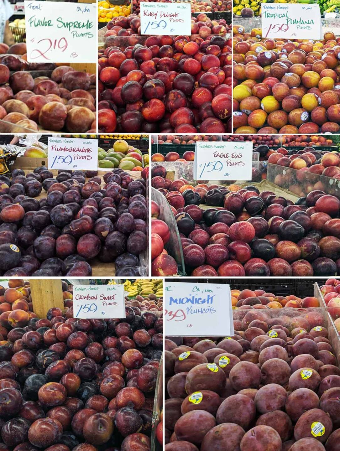 Pluot and plumcot varieties: flavor supreme, ruby delight, tropical plumana, plumogranate, eagle egg, crimson sweet, midnight