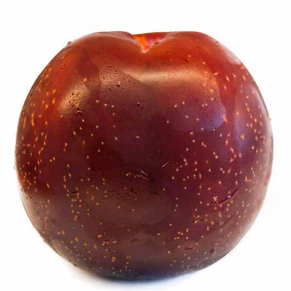 red plum