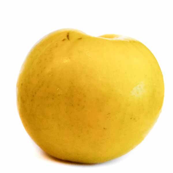 yellow plum