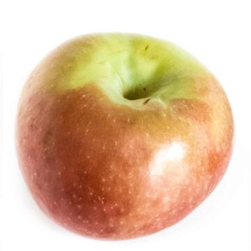 Apple varieties: Jonamac