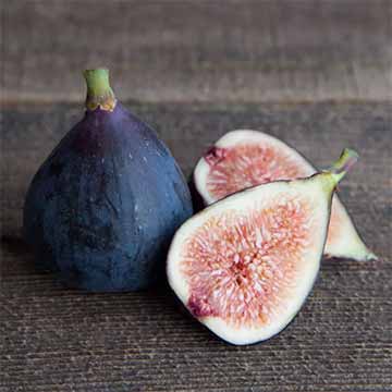 when do figs come into season