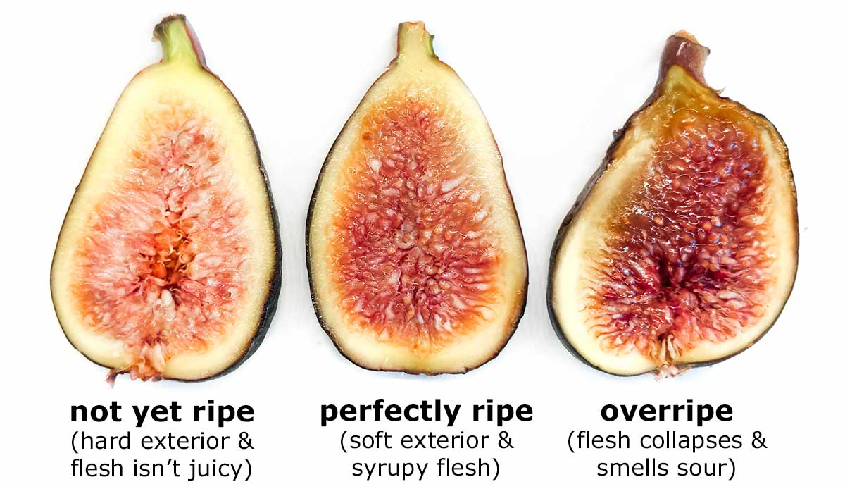 3 figs to show different stages of being ripe. A hard center that isn't ripe on the left, to a soft squishy center of a fig that is overripe and going bad.