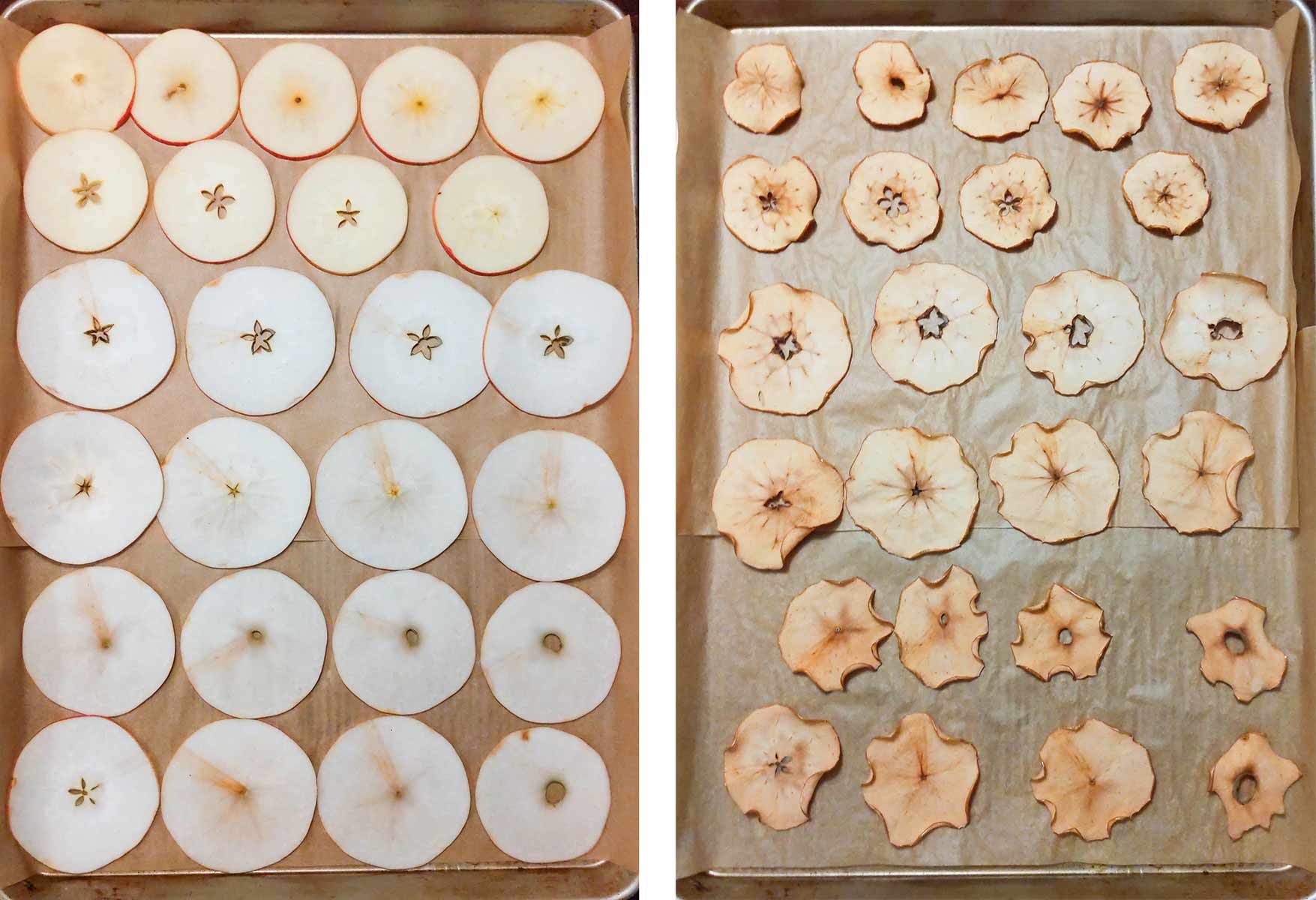 How To Make Crisp Apple Chips how-to-make-crisp-apple-chips