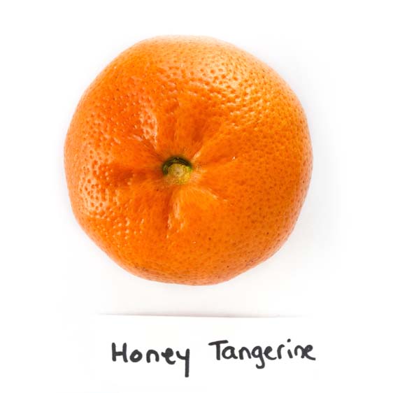 Tangerines vs. Mandarins: The Sweet Showdown of Similarities and  Differences!