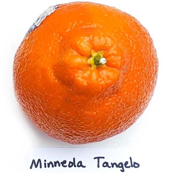 What's in Season: Mandarin Oranges