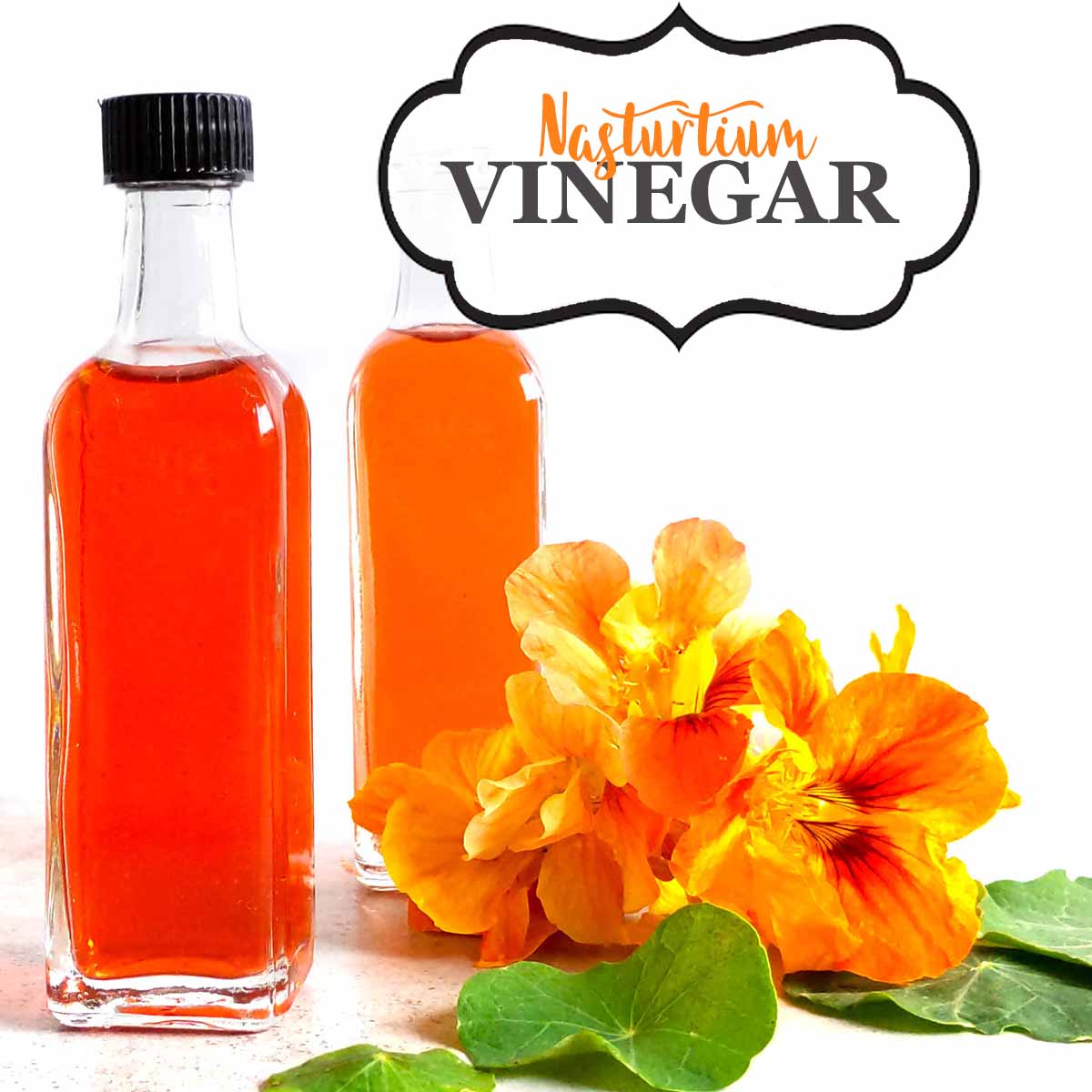 Nasturtium vinegar bottles and flowers