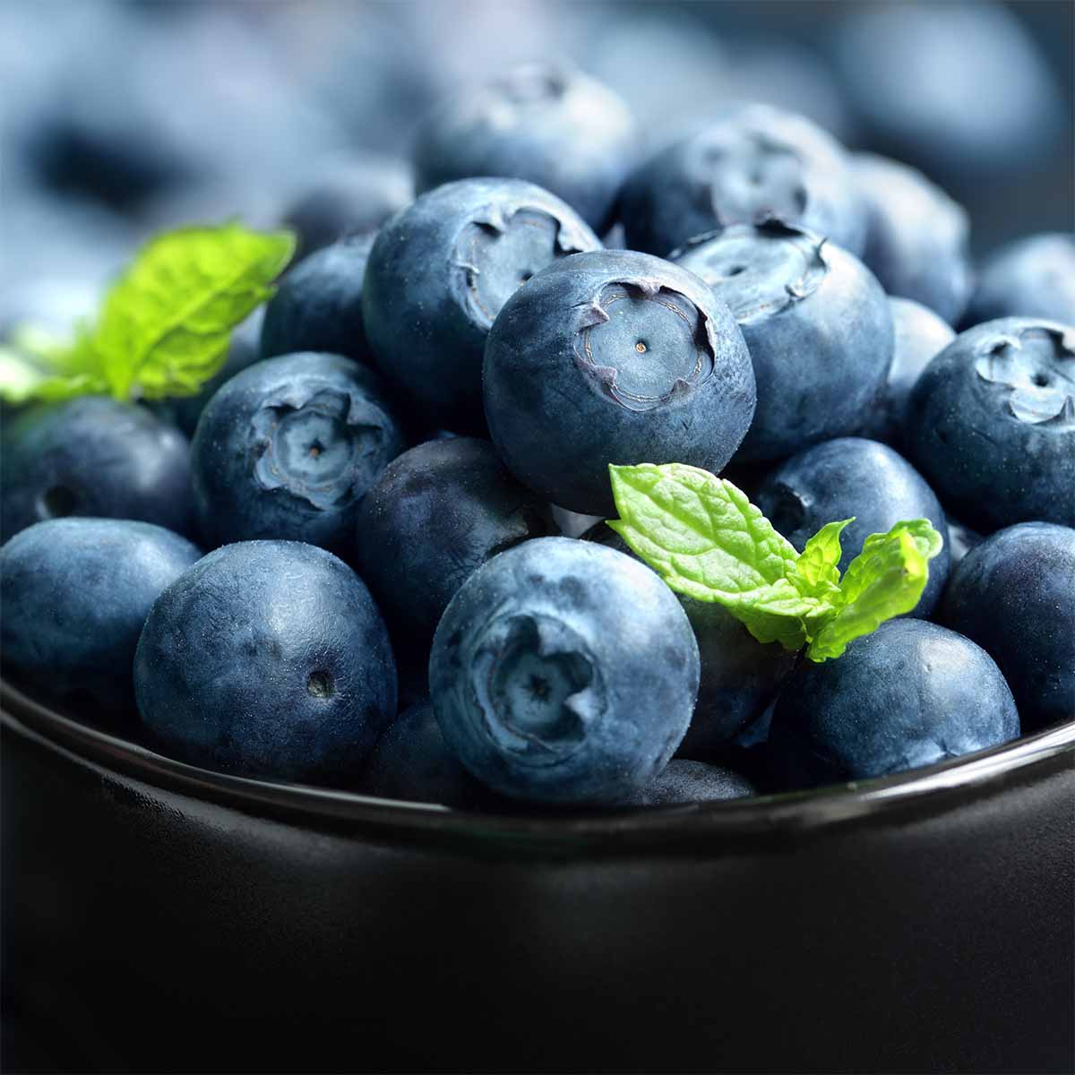 Bowl of fresh blueberries