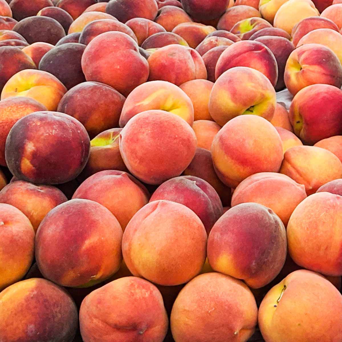 dozens of fresh peaches ready