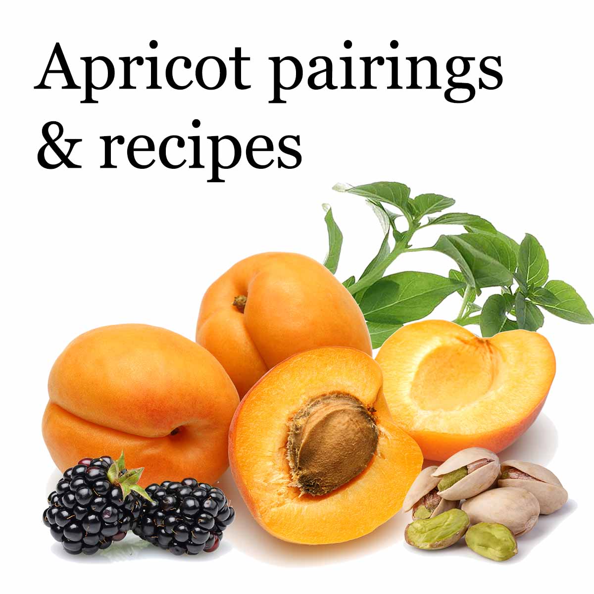 apricot pairings: blackberries, nuts, and basil